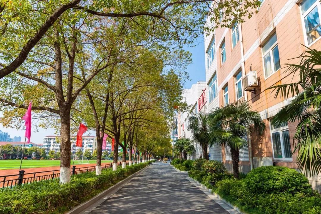 班班都有400分!29中,你们最想知道的