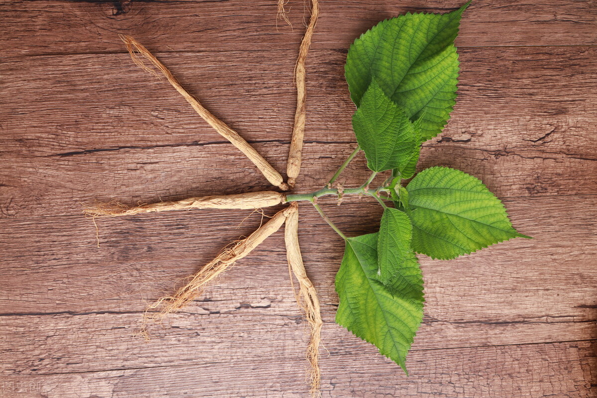 寒气入侵的腰腿痛应该怎么治疗,腰腿膝盖酸痛是咋回事吃什么药