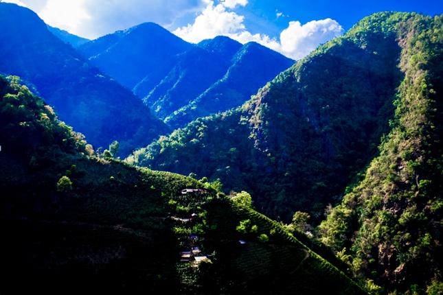 拼多多新农村规划,拼多多如何打造自己农产品产业园