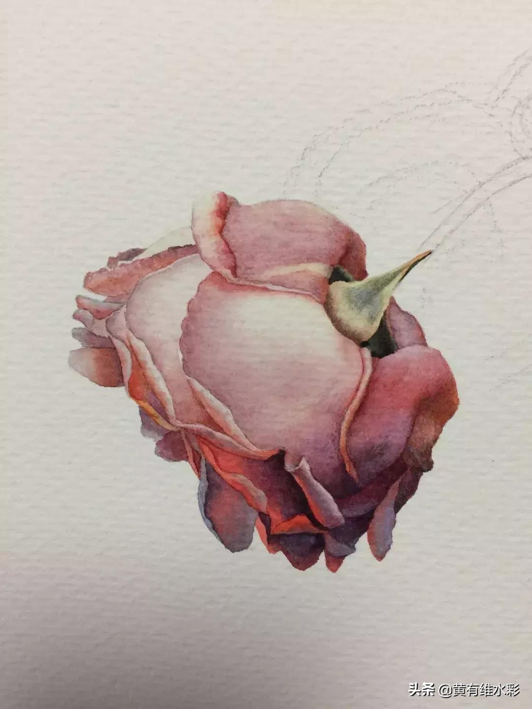 33朵玫瑰制作全过程,英伦花教程