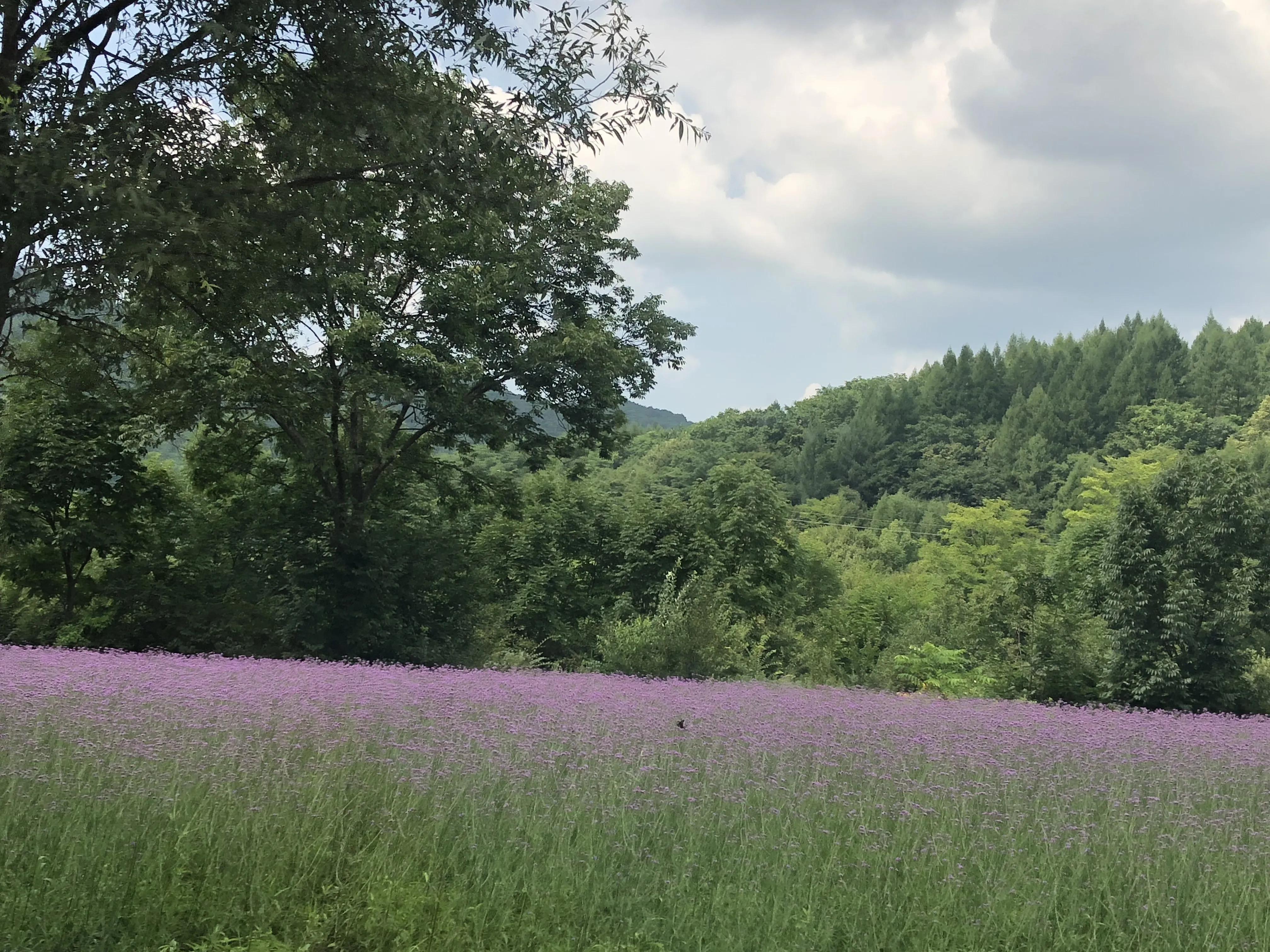 丹东集安自驾游攻略,沈阳丹东集安旅游记录