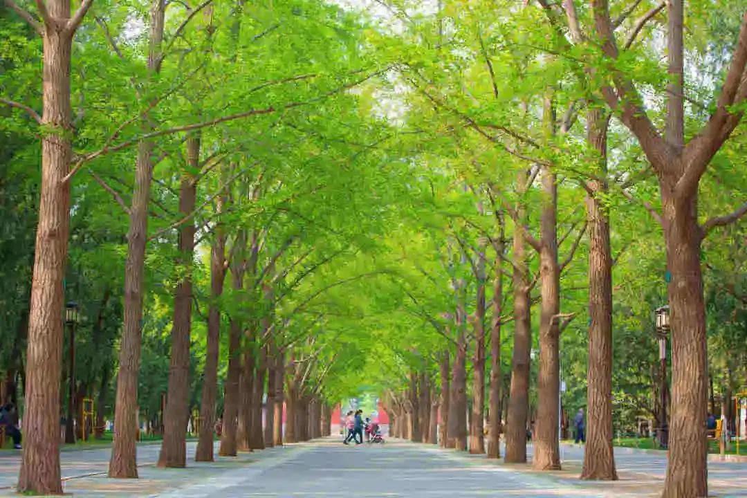 四月发生的事,东城发生的事