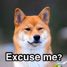 日本食品的警示,日本食品禁令