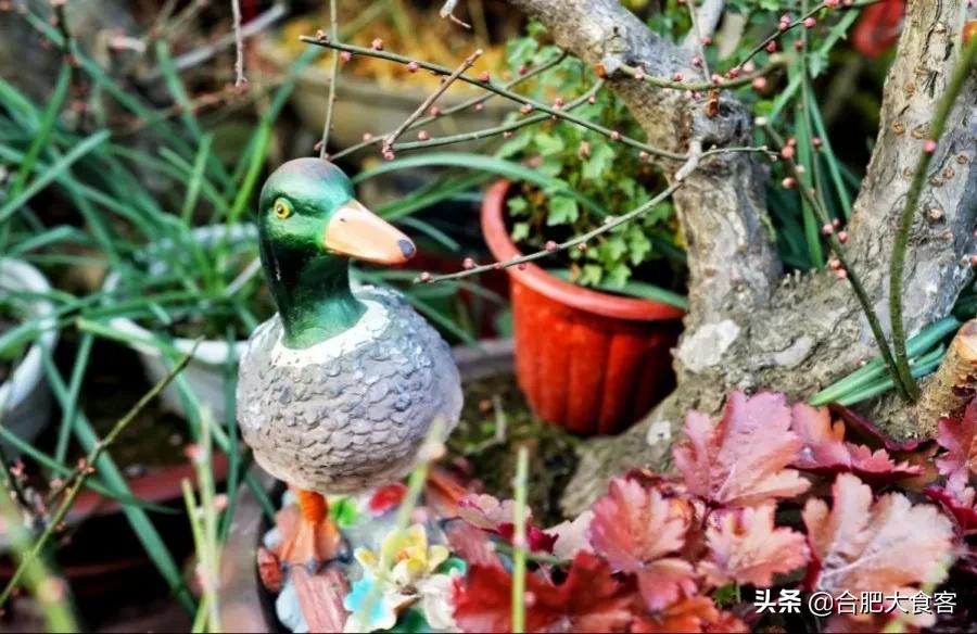 <html>
<head><title>502BadGateway</title></head>
<body>
<center><h1>502BadGateway</h1></center>
<hr><center>nginx</center>
</body>
</html>
<!--apaddingtodisableMSIEandChromefriendlyerrorpage-->
<!--apaddingtodisableMSIEandChromefriendlyerrorpage-->
<!--apaddingtodisableMSIEandChromefriendlyerrorpage-->
<!--apaddingtodisableMSIEandChromefriendlyerrorpage-->
<!--apaddingtodisableMSIEandChromefriendlyerrorpage-->
<!--apaddingtodisableMSIEandChromefriendlyerrorpage-->
