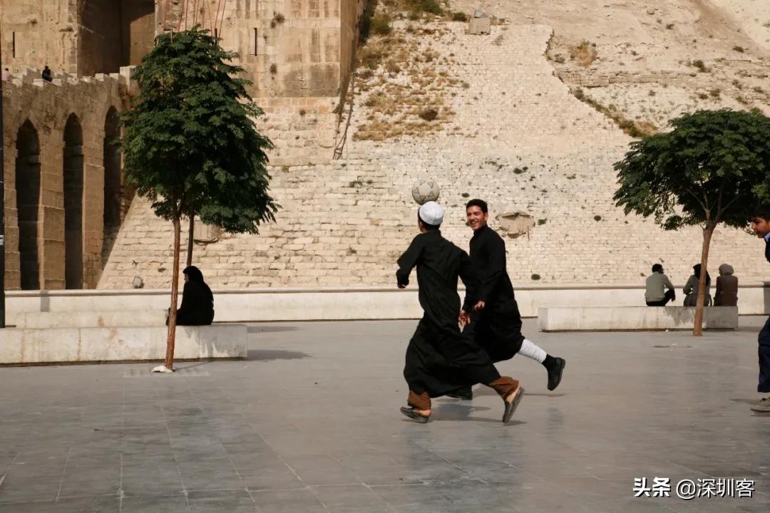 深圳的冬天是阳光明媚的冬天,深圳的冬天一点也不冷