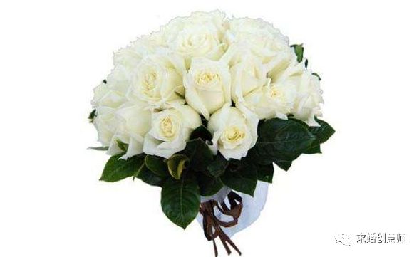 生日送花送什么花合适表达爱意,求婚送花送什么花合适