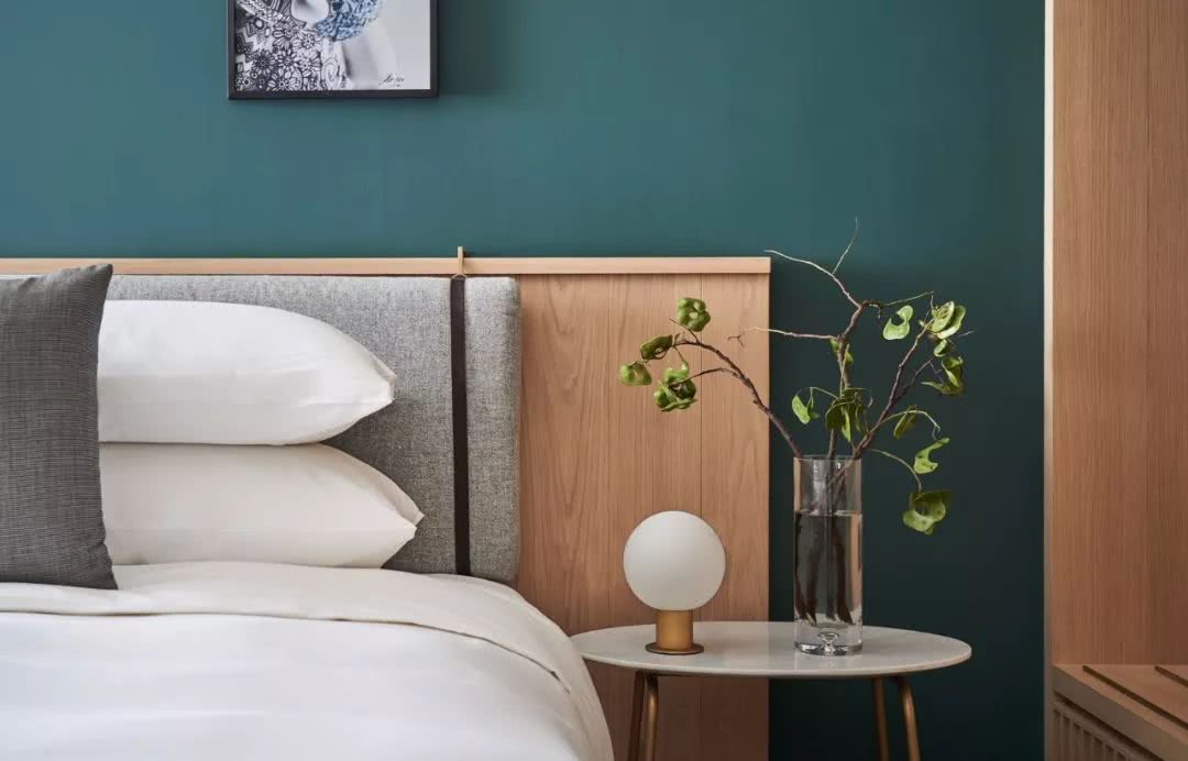 酒店速报||台北大安,棋盘格,张钧甯和羊驼