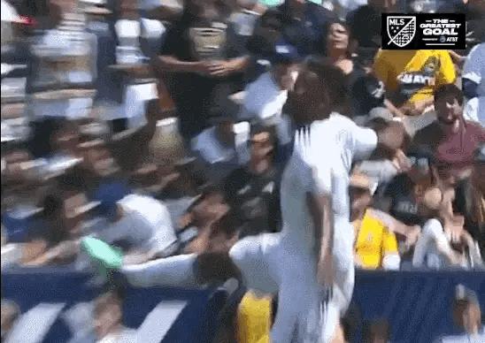 为什么伊布这么崇拜罗纳尔多,不可一世的伊布