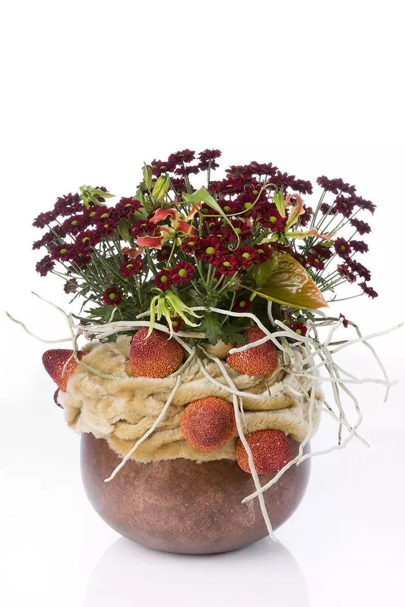 冬季切花菊,银叶菊鲜切花搭配