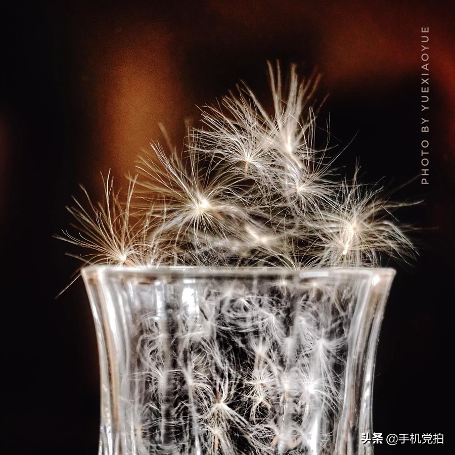 教你宅家拍氛围感大片有手就行,宅家就能轻松拍大片