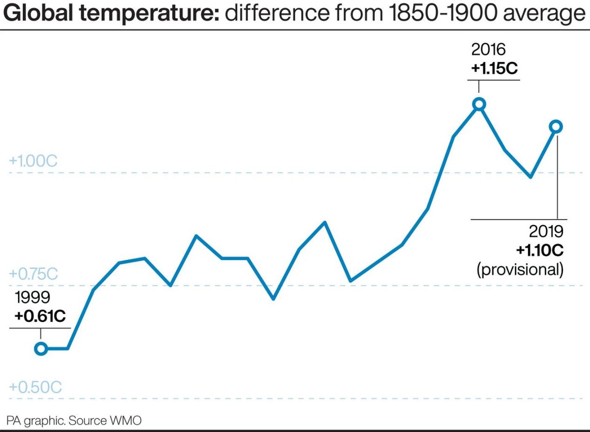 中国降水北迁,北京首次发现罕见尖帽草,北方会变成南方吗?