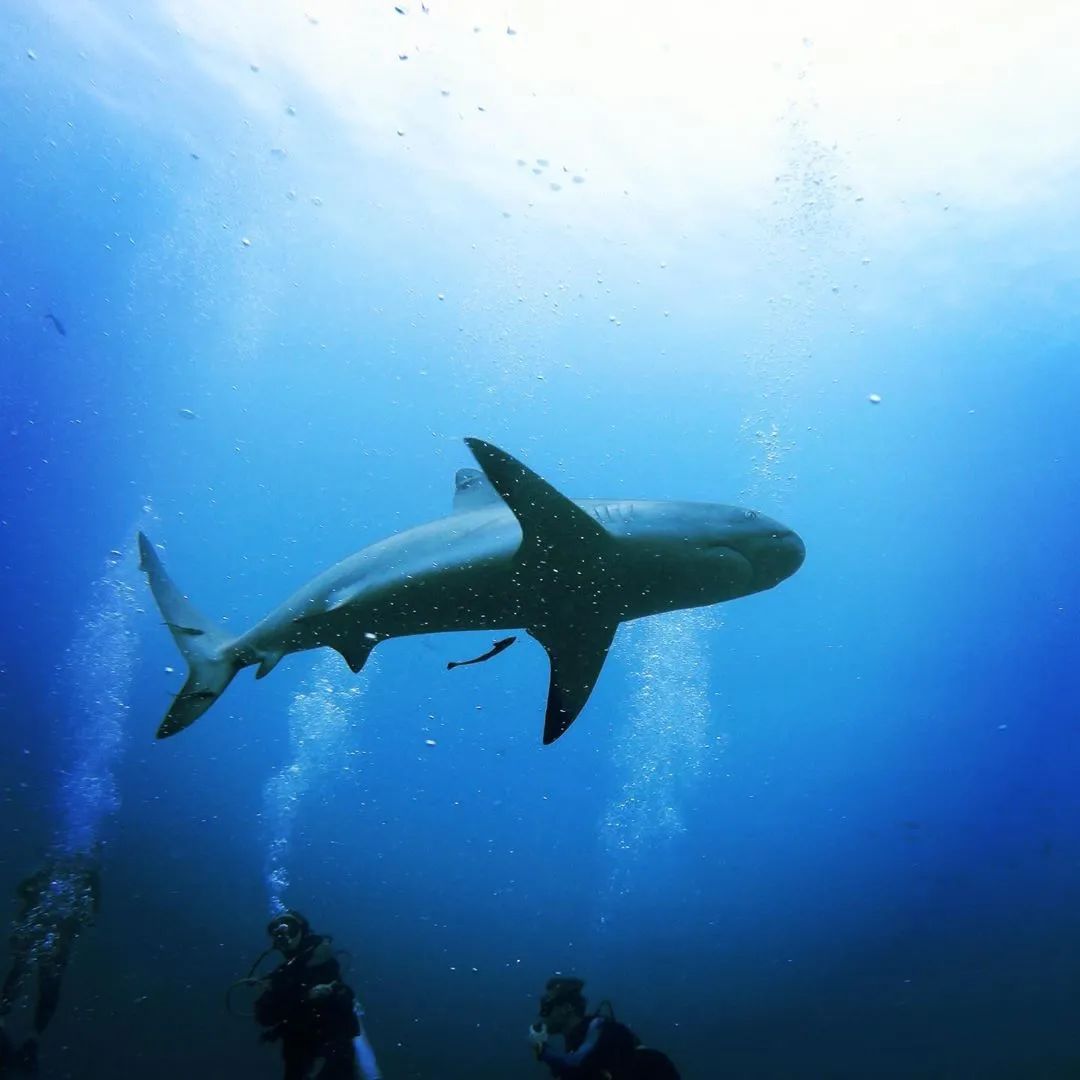 去了这30个地方一生就值得了,此生一定要去的14个地方