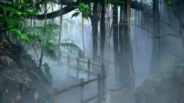 南山青青世界风景区,南山青青世界公园有什么