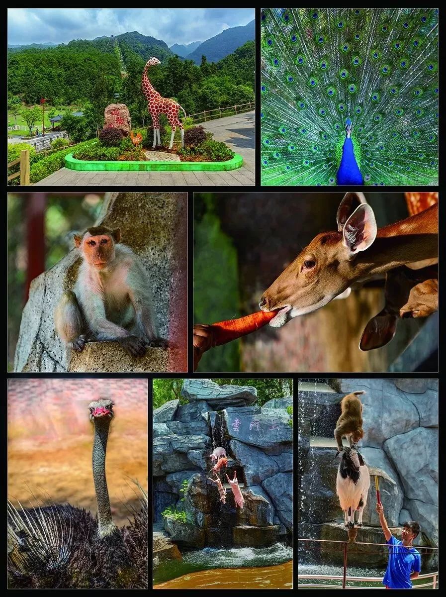 韶关云门山酒店价格,韶关云门山风景区附近酒店