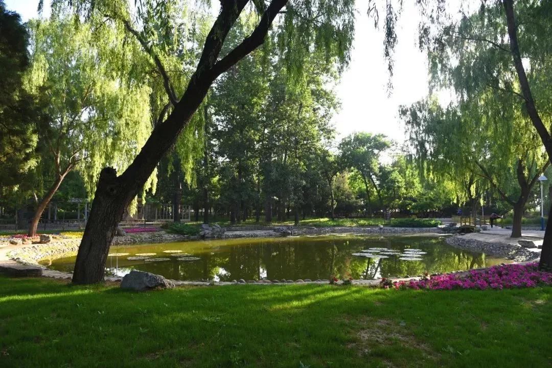 丰台区南中轴地区规划,丰台区区域划分调整