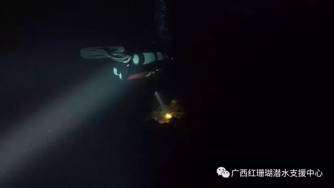 被使命感驱动的潜水员——最帅