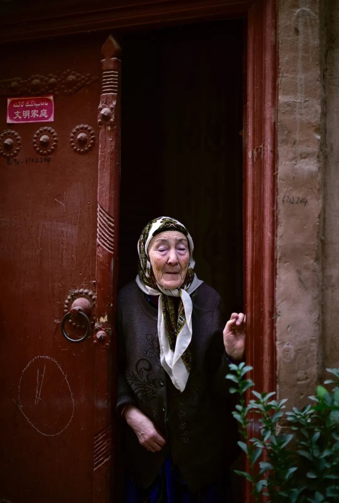 新疆炫富方式是什么,新疆喀什好种的花