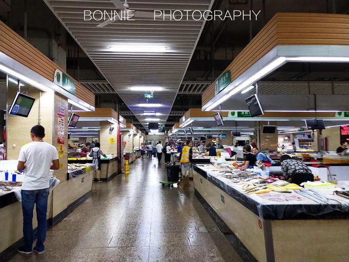 嵊泗列岛3天2夜攻略,嵊泗本岛三天两夜自由行攻略