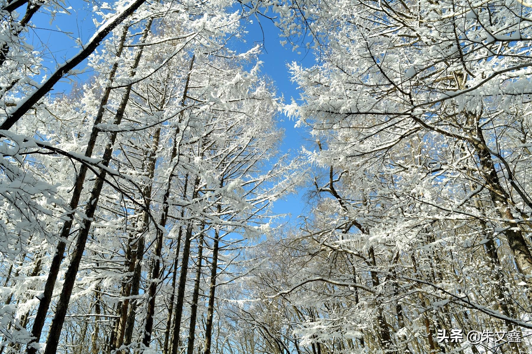 吉林柳河市内景点,吉林柳河冬天