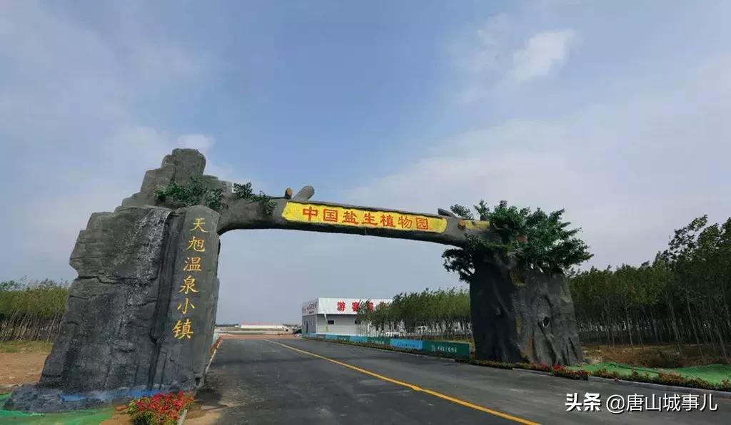 曹妃甸十大美景图,曹妃甸十大风景区介绍词