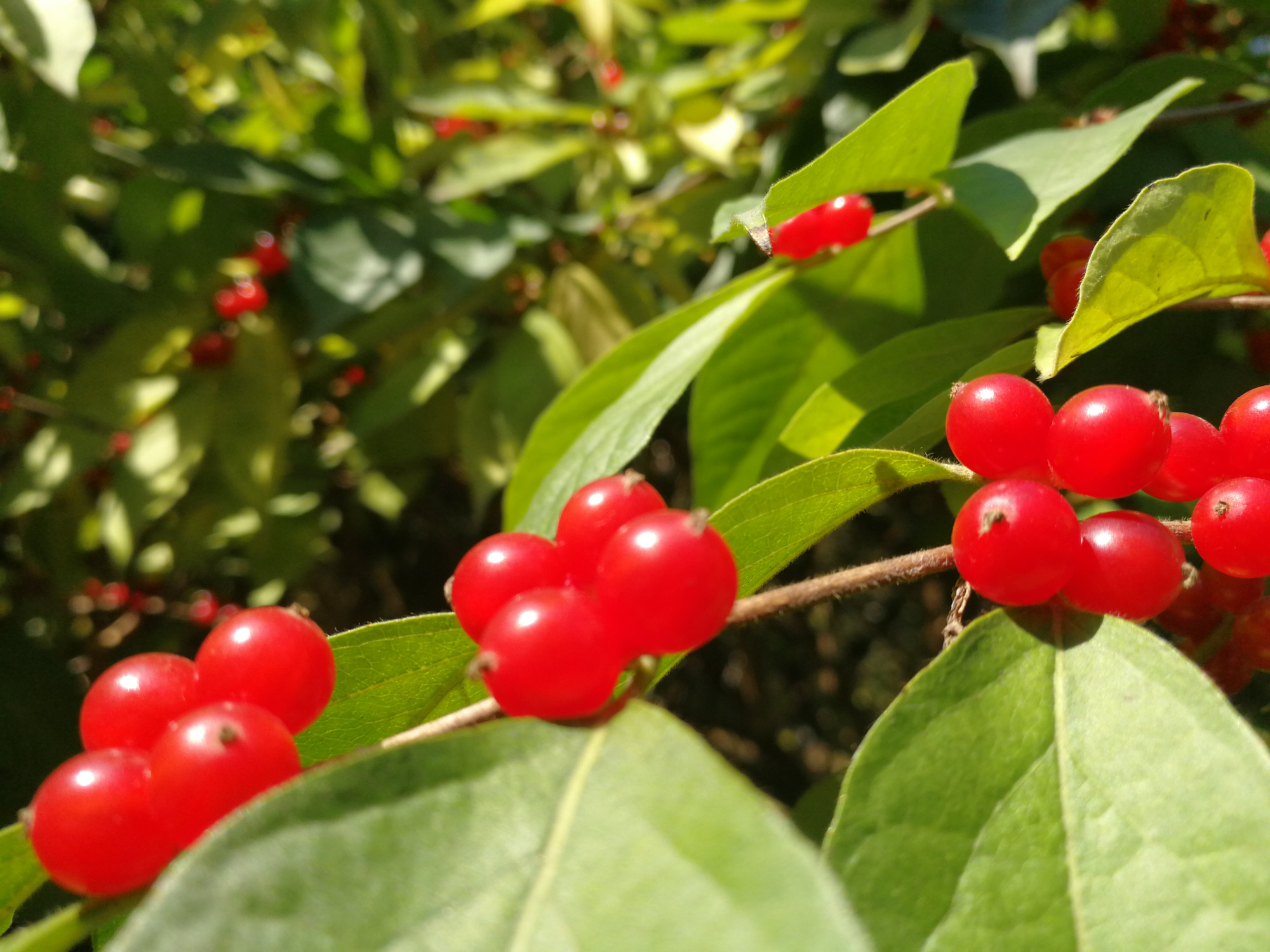 51信用卡平台为什么说我欠钱呢,51信用卡为什么账单刷新不出来