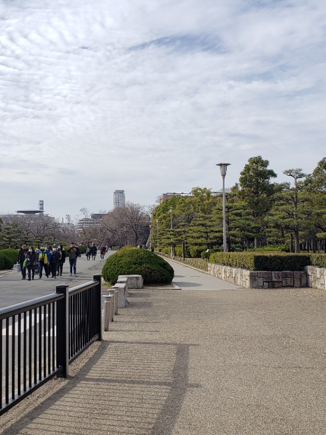 如果你今生只想去一次日本，千万别跟我一样，报这样的旅行团五