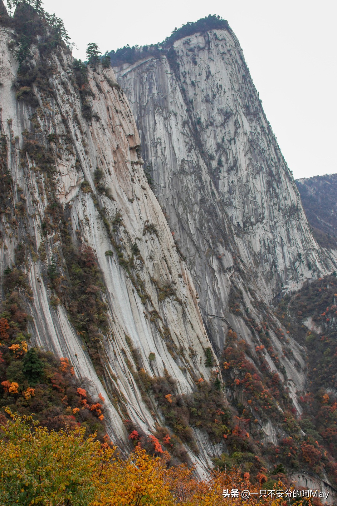 为什么爬华山都是夜爬,华山自古一条道很有必要爬吗