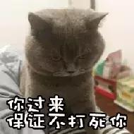 omg这也太厉害了吧,omg真有这么好的事吗