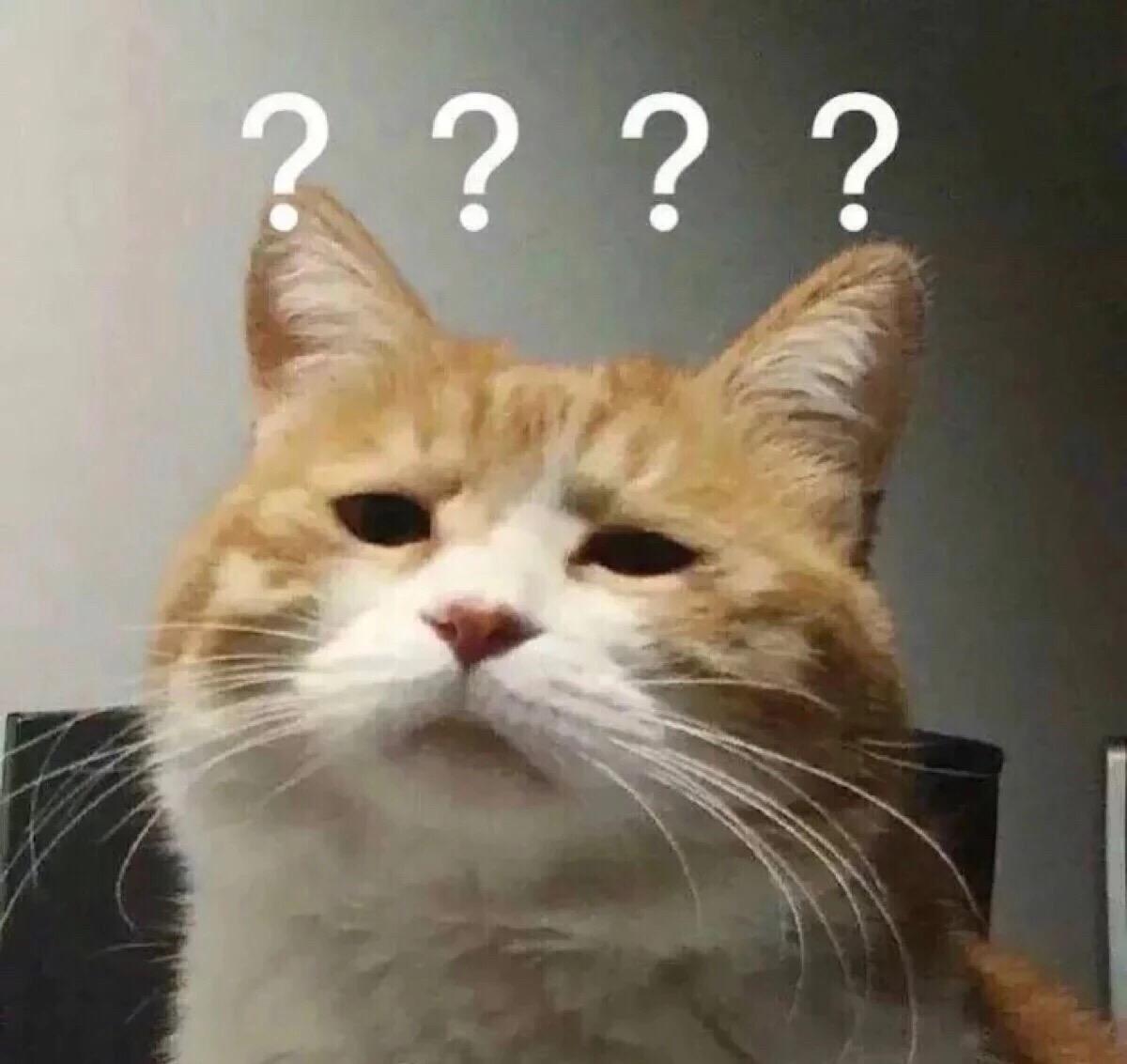 猫咪丢失怎么快速找回视频最火,猫咪丢了怎么办才能让猫咪找回来