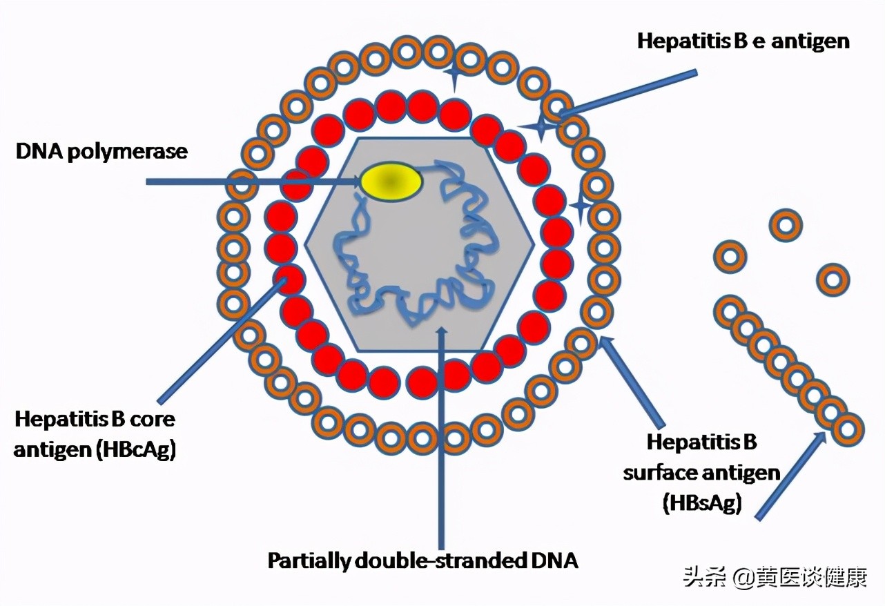 干扰素停止后需要抗病毒吗,干扰素抗病毒一般要打多久