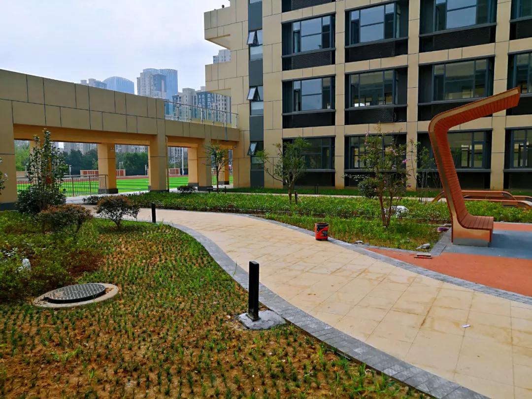 南京金陵小学仙林学费,南京市金陵小学仙林湖校区学费