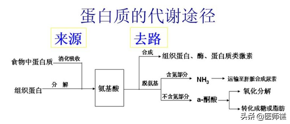 慢性肾衰患者的饮食注意事项,慢性肾衰竭低蛋白饮食指导顺口溜