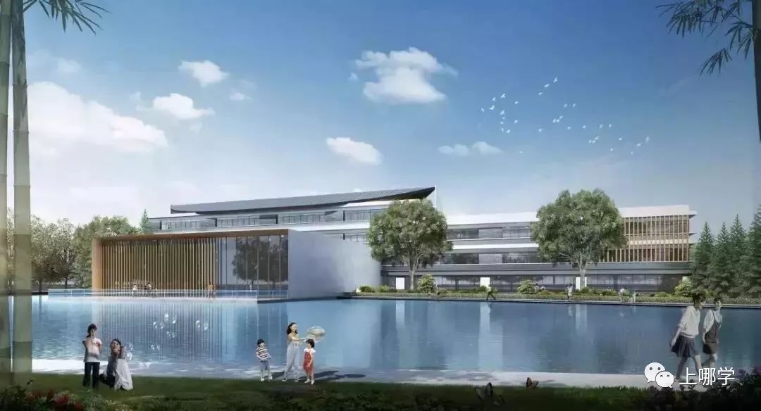 最新奉贤区小学排名,上海市奉贤区小学