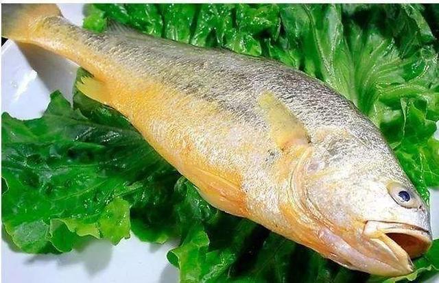 回乡创业4年开办养殖场,返乡农民工创业养鱼致富