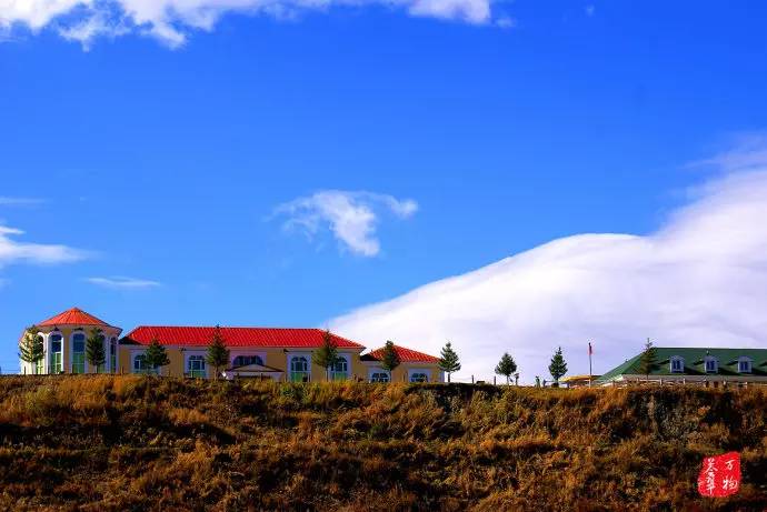 去北疆一定要去看什么,去新疆北疆看风景南疆看风情