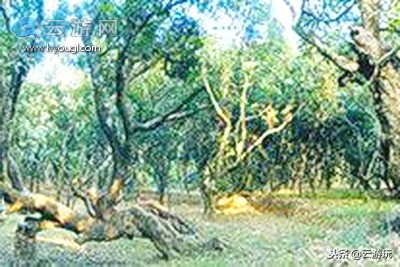 盘点茂名40个好玩的景点，茂名旅游景点大全就在这里了