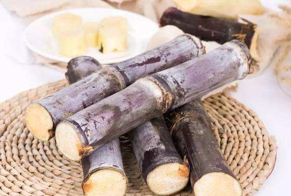 谨记狗狗绝不能吃的6种水果,狗狗一般能吃哪几种水果