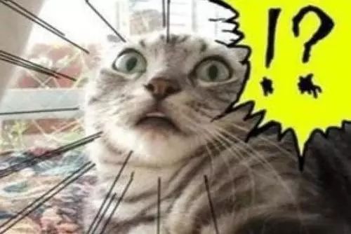 儿媳和婆婆滚床单，泰国又出神剧，网友却表示好看极了