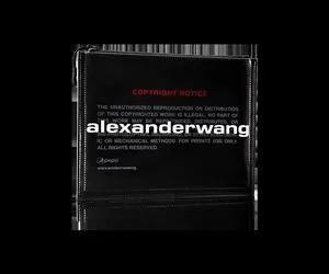 亚历山大王是大牌吗,亚历山大王限量款