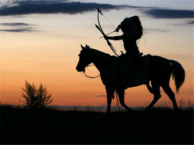 金朝是如何起家的,金朝后期军事实力