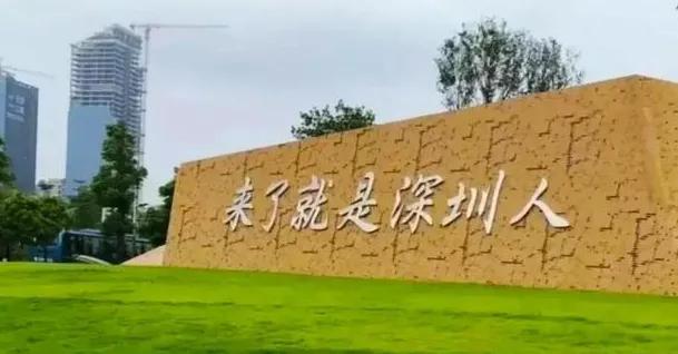 你为什么留在深圳奋斗,留在深圳发展还是回老家发展呢