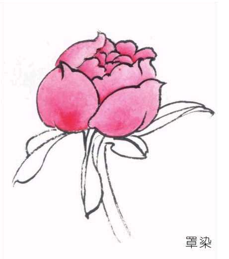 工笔画上色技巧及方法,工笔画染墨色完整步骤