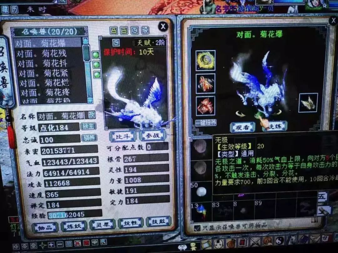 大话西游2驯服宠物,大话西游2龙马100万亲密