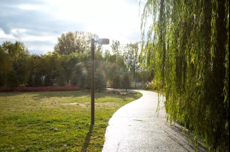 第六届和平杯足球比赛,2023和平杯足球邀请赛