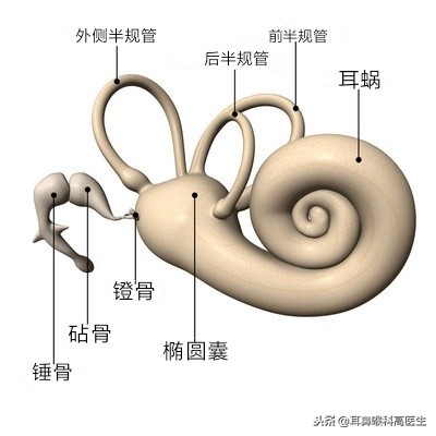 体位性眩晕吃什么药缓解,体位性眩晕是什么原因引起的啊