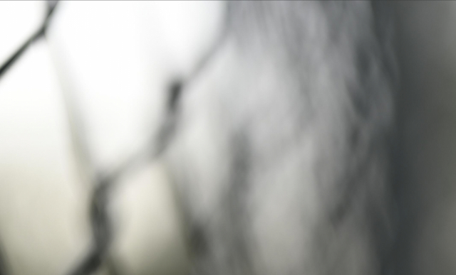 尼康z50mmf1.2s镜头,尼康z50mm1.8s镜头