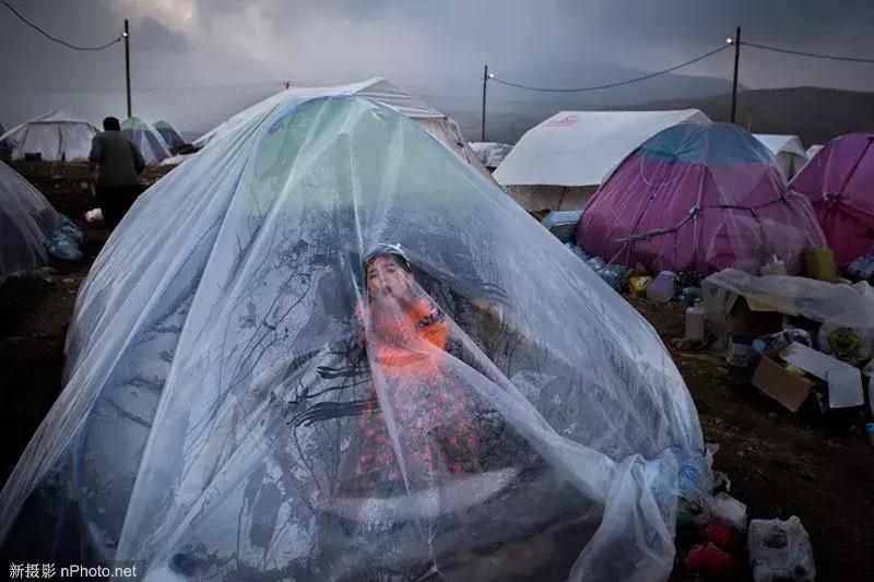 AndreiStenin国际新闻摄影大赛获奖作品