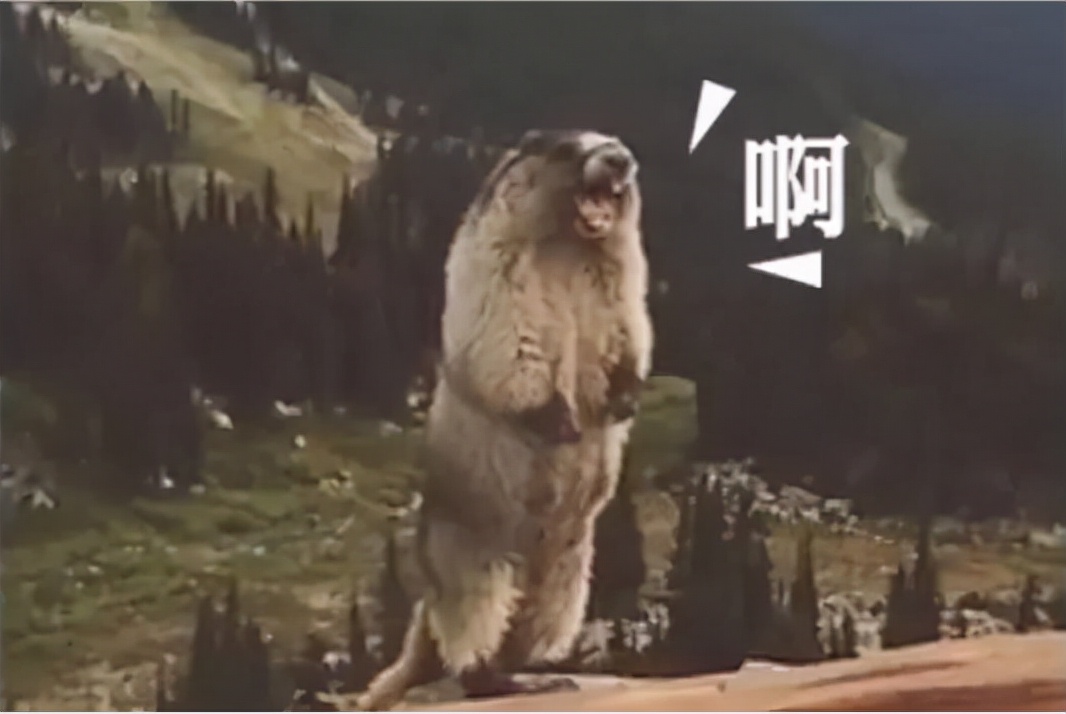 我愿意称它为NAS产品中的王者，蒲公英智能云TaraX分享