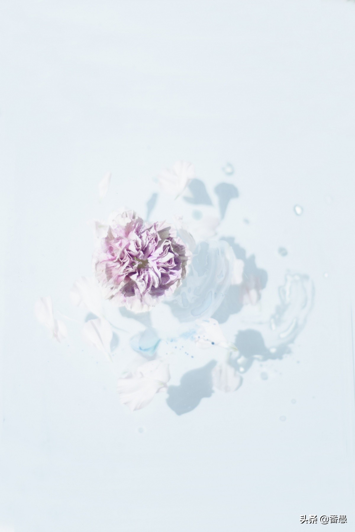 孤独了怎么办最好的方法,孤独怎么办怎么安慰自己