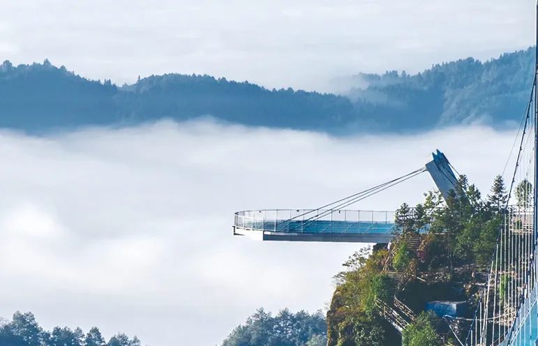 仙人街景区赏花攻略,吉尼斯打卡仙人街